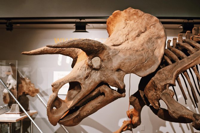 Smithsonian Museum of Natural History - Exclusive Guided Tour - Mammals, Henry the Elephant, and the Wild World
