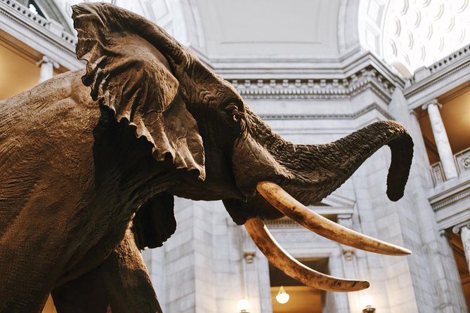 Smithsonian Museum of Natural History - Exclusive Guided Tour - What the Two-Hour Format Really Gives You