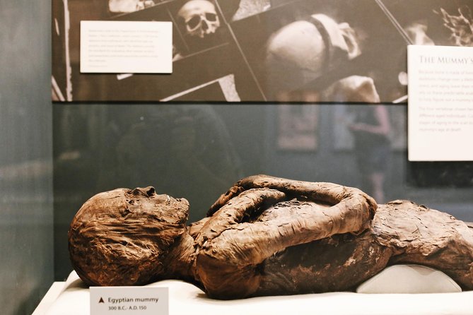 Smithsonian Museum of Natural History - Exclusive Guided Tour - Private, Semi-Private, and Family Fit