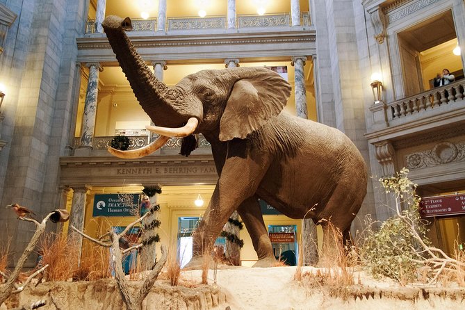 Smithsonian Museum of Natural History - Exclusive Guided Tour - Egyptian Mummies and Ancient Ideas About Death