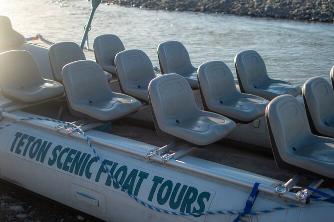 Snake River Scenic Float - Wildlife spotting: exciting when luck joins in