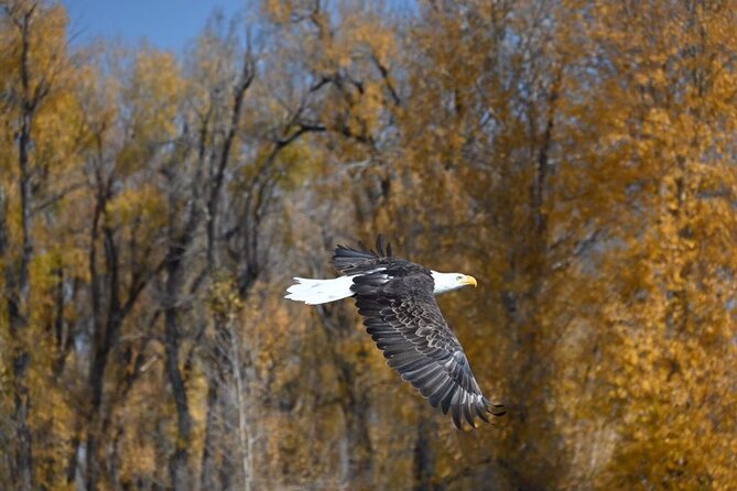 Snake River Scenic Float - Who will enjoy this float most?