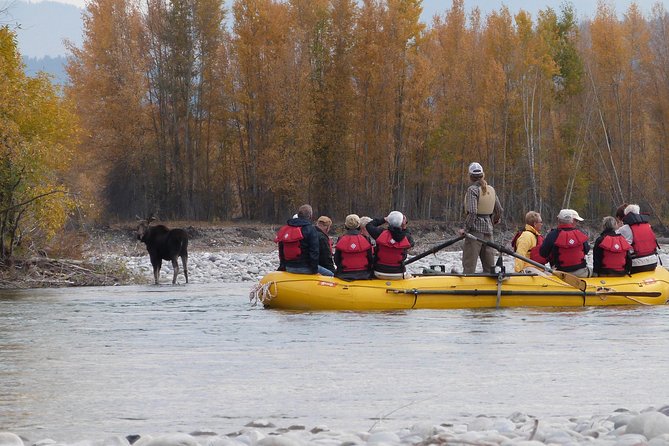 Snake River Scenic Float Trip with Teton Views in Jackson Hole - Stop 4: The Snake River Bridge and the final stretch