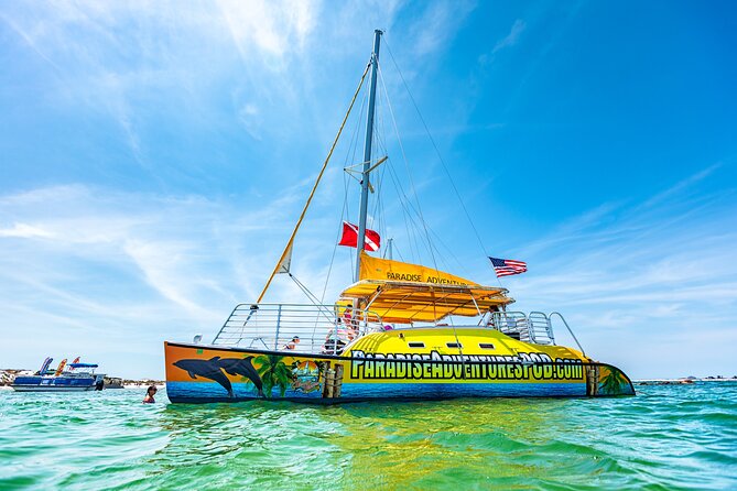 Snorkel & Dolphin Sightseeing Tour Aboard the Footloose - A three-hour outing with a useful change of pace