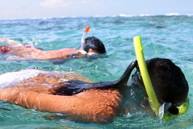 Snorkel & Dolphin Sightseeing Tour Aboard the Footloose - Back aboard for dolphins and Gulf views