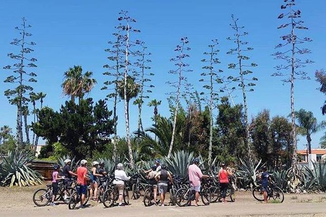 SoCal Riviera Electric Bike Tour of La Jolla and Mount Soledad - Climbing Mount Soledad without the usual struggle