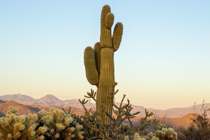 Sonoran Desert Jeep Tour - What Tonto National Forest Adds to the Tour
