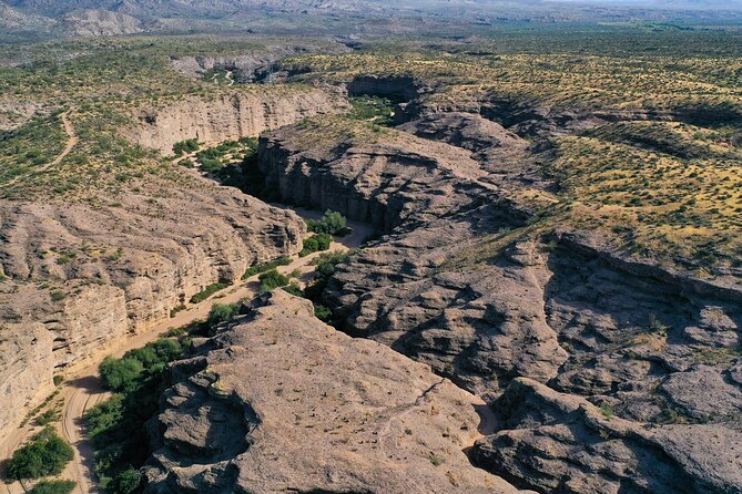 Sonoran Desert Jeep Tour - Guides Turn a Jeep Ride Into a Field Lesson
