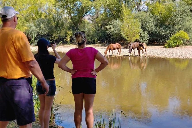 Sonoran Desert Jeep Tour - Who Will Enjoy This, and Who Should Skip It?
