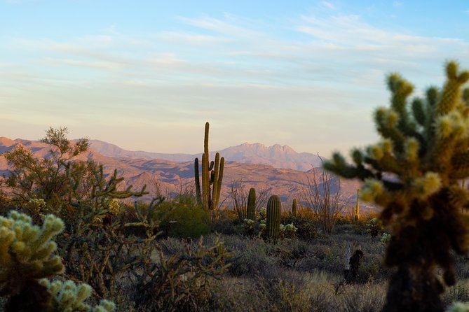 Sonoran Desert Jeep Tour at Sunset - Pinnacle Peak and North Scottsdale scenery