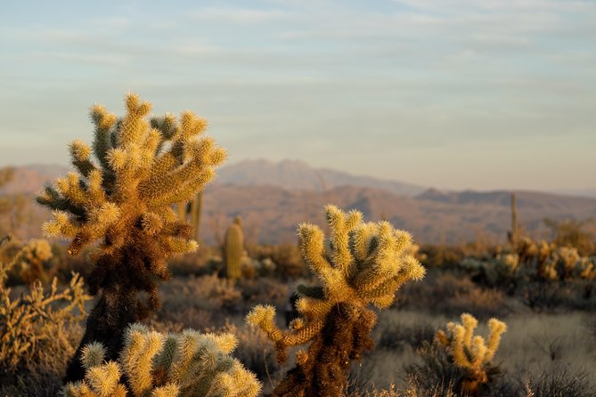 Sonoran Desert Jeep Tour - Pinnacle Peak Brings Granite to the View