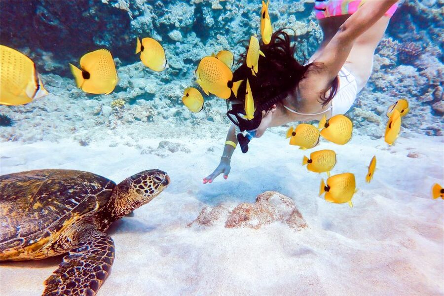 South Maui: Molokini Snorkeling Adventure - What the day feels like from Maalaea Harbor to return