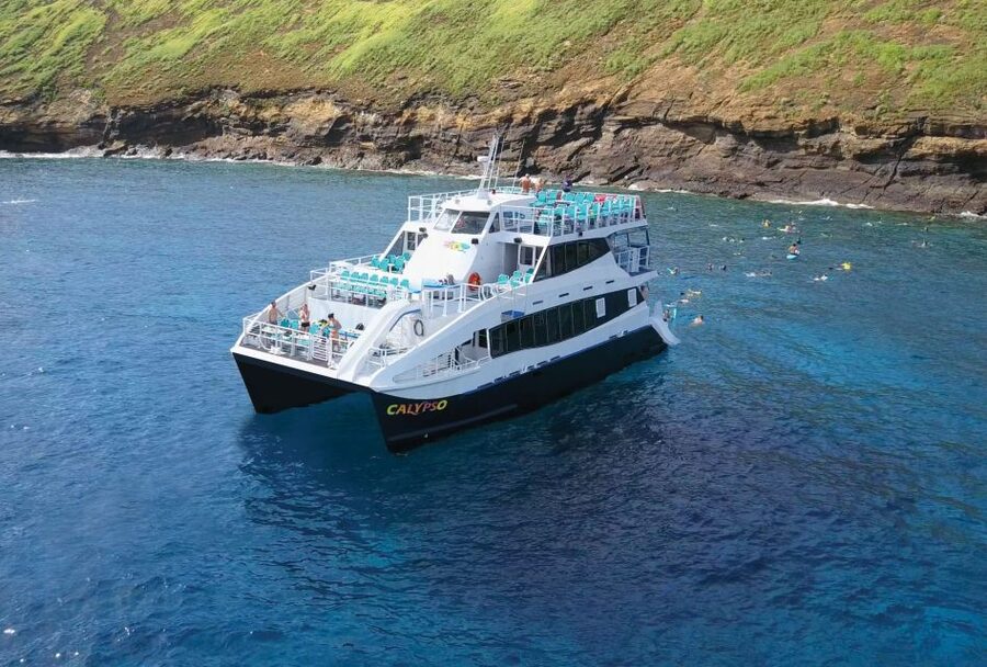 South Maui: Molokini Snorkeling Adventure - Who will like this Calypso cruise most