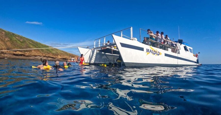 South Maui: Snorkel to Coral Gardens or Molokini Crater - Choosing between Molokini Crater and Coral Gardens