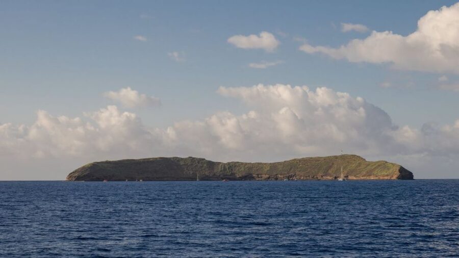 South Maui: Snorkel to Coral Gardens or Molokini Crater - The snorkeling stop: fish, coral, and sea turtles