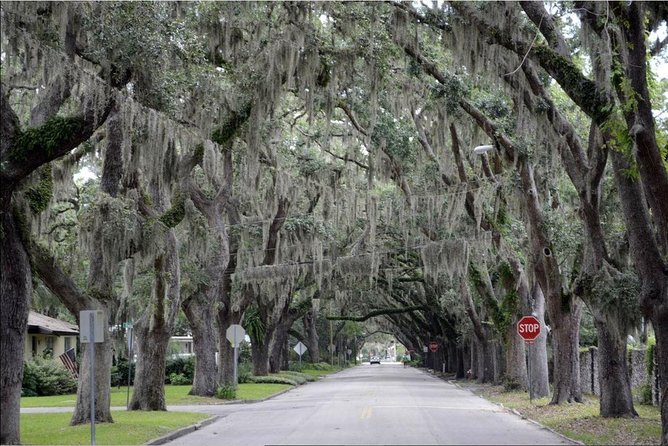 St. Augustine Hop-On Hop-Off Trolley Tour - Castillo, Ripley’s, and the Old Town welcome center