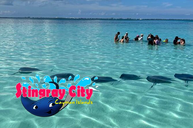 Stingray City and Starfish Experience with Coral Reef Snorkeling - What is included for $65