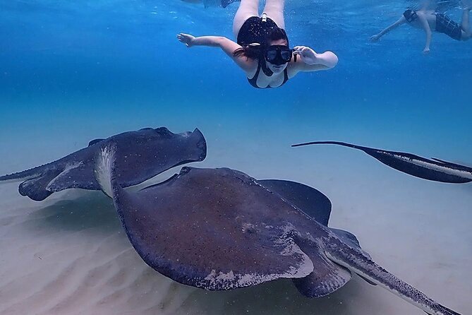 Stingray City and Starfish Experience with Coral Reef Snorkeling - Who should book this excursion