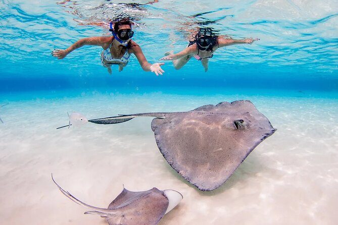 Stingray City and Starfish Experience with Coral Reef Snorkeling - Weather, safety, and what to bring