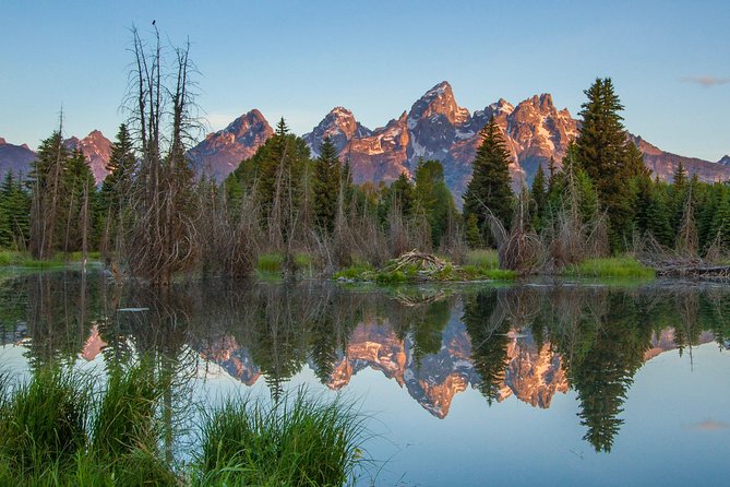 Sunrise 4-Hour Grand Teton Wildlife Adventure - Key points to know before you book