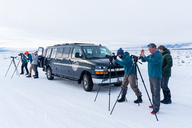Sunrise 4-Hour Grand Teton Wildlife Adventure - Breakfast, coffee, and staying warm