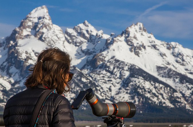 Sunrise 4-Hour Grand Teton Wildlife Adventure - The guides make the difference