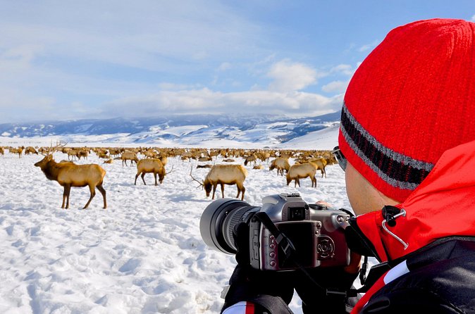 Sunset 4-Hour Grand Teton Wildlife Adventure - Who should book this tour