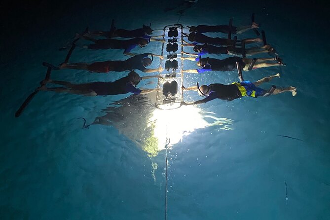 Sunset and Manta Ray Snorkel Adventure - The Ride Back to Kona