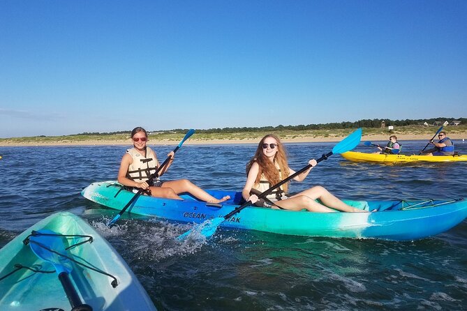 Sunset Dolphin Kayak Tours - Who Will Enjoy This Two-Hour Paddle