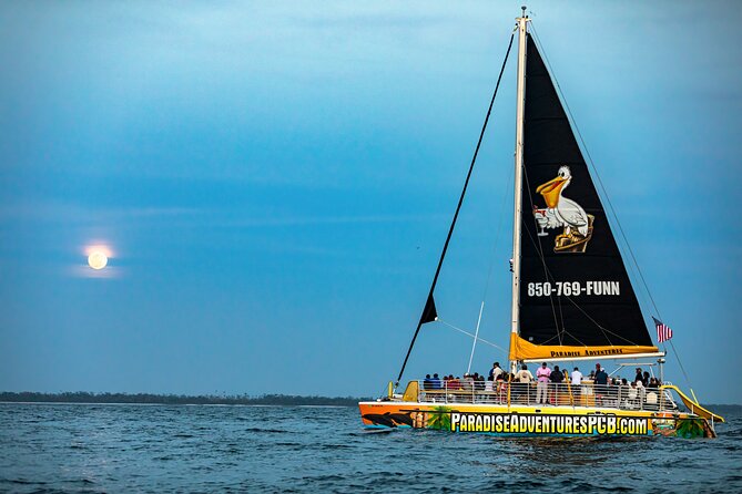 Sunset Dolphin Sail Aboard the Privateer Catamaran - Dolphin watching along Panama City Beach