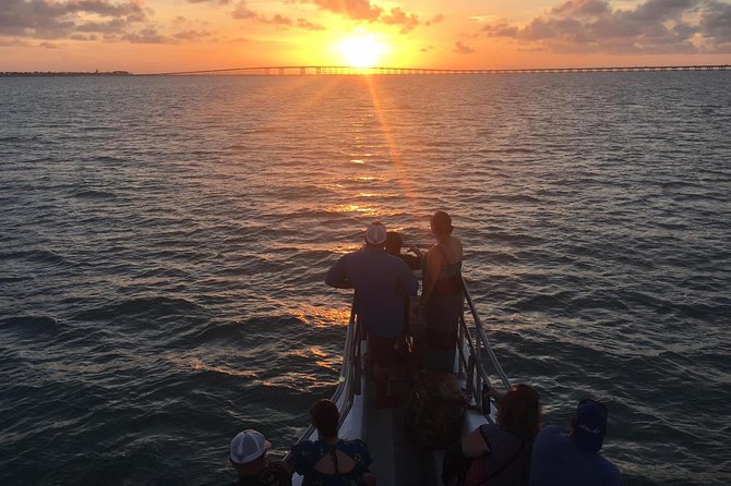 Sunset Dolphin Watch Tour - Key points to know before you book