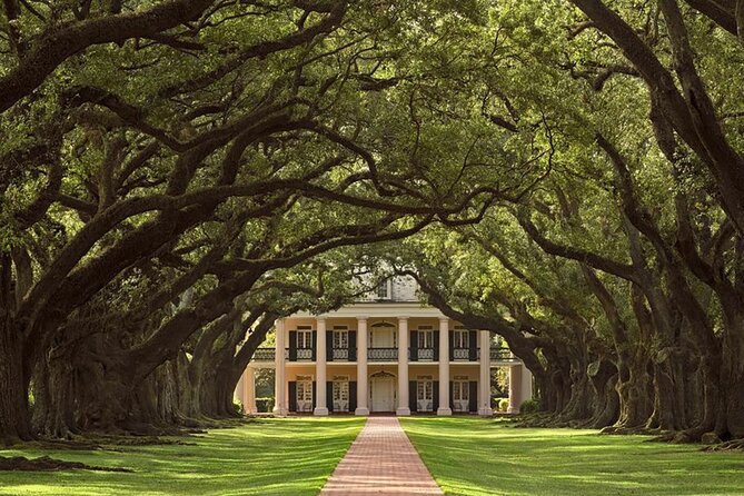 Swamp Boat Ride and Oak Alley Plantation Tour from New Orleans - Is the $131 price good value?