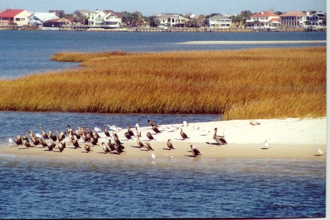 Take a Scenic Boat Ride in St. Augustine - Why a boat gives you a better first look at St. Augustine
