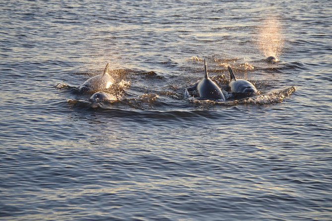 Take a Scenic Boat Ride in St. Augustine - Slowing near landmarks for photographs