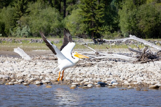 Tetons and Snake River Scenic Float Trip In Jackson Hole - Is $120 a fair price for three hours?