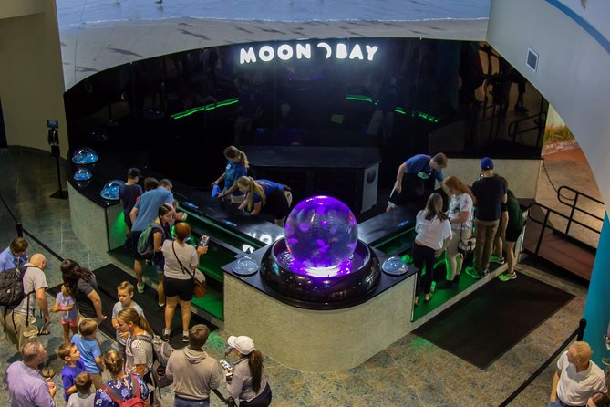 The Florida Aquarium in Tampa General Admission - Price, Parking, and the Real Value of Admission