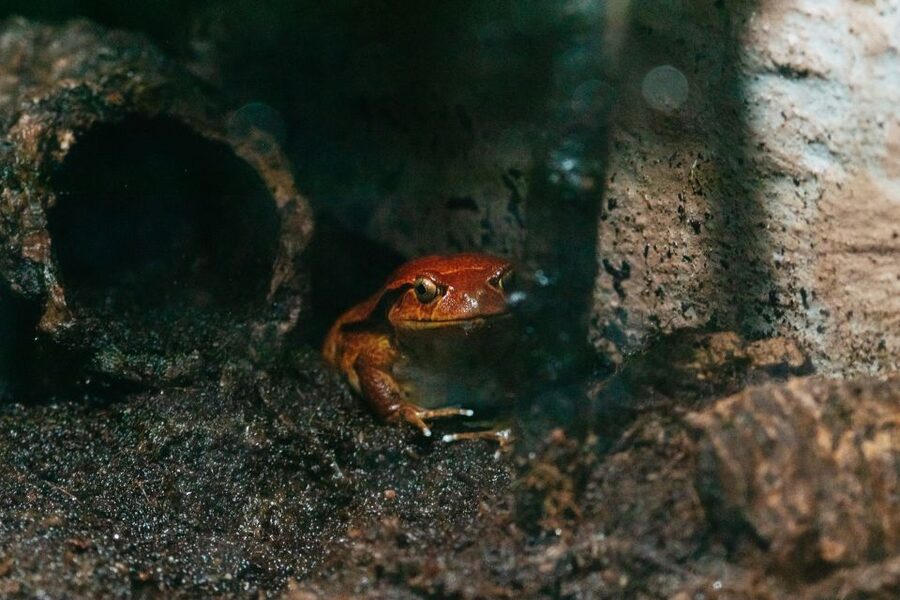 The Florida Aquarium Ticket - Is $36 a fair price for this aquarium?