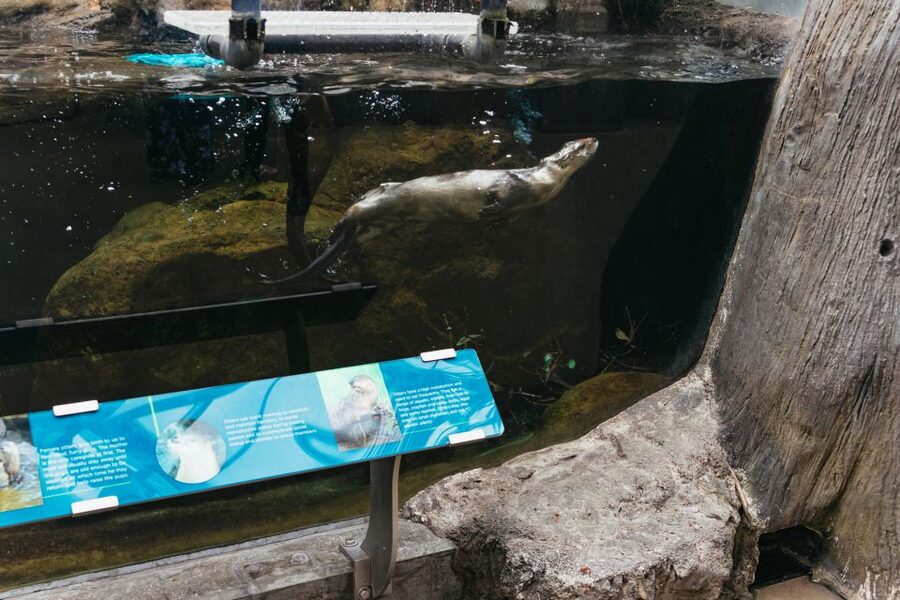 The Florida Aquarium Ticket - How long you need, and how to pace the visit