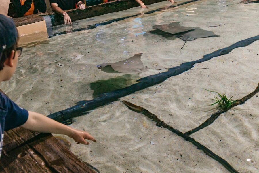 The Florida Aquarium Ticket - Food, family facilities, and extra activities