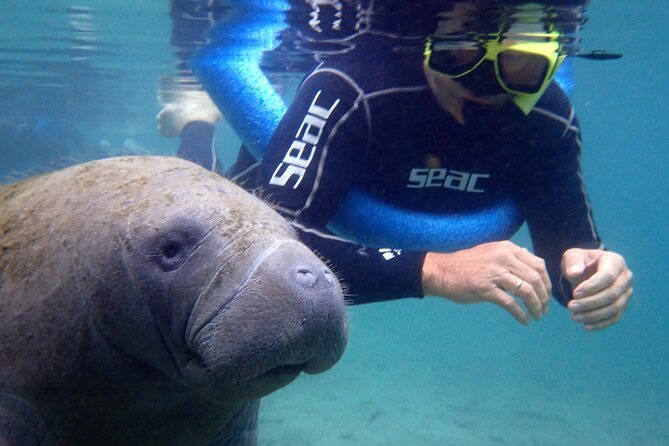 The 'OG' Manatee Snorkel Tour with In-Water Guide/Photographer - Starting at River Ventures on Kings Bay Drive