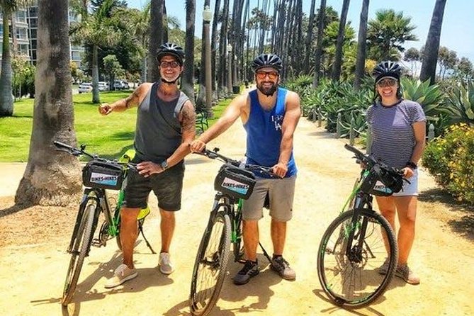 The Ultimate LA Tour: Full Day Sightseeing Tour On Electric Bike - Venice Beach delivers the biggest change of scene