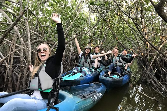 Thousand Island Mangrove Tunnel, Manatee & Dolphin Kayak Tour w/Cocoa Kayaking - Key points at a glance