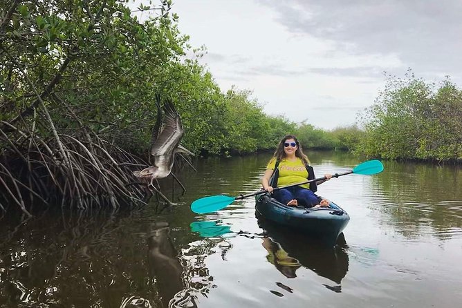 Thousand Island Mangrove Tunnel, Manatee & Dolphin Kayak Tour w/Cocoa Kayaking - Getting comfortable before the first paddle