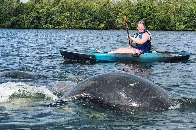 Thousand Island Mangrove Tunnel, Manatee & Dolphin Kayak Tour w/Cocoa Kayaking - Entering the mangrove tunnels