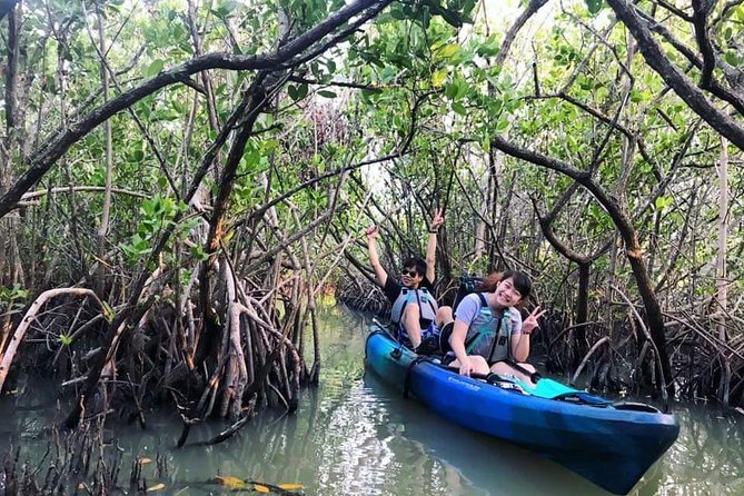 Thousand Island Mangrove Tunnel, Manatee & Dolphin Kayak Tour w/Cocoa Kayaking - Wildlife worth watching for