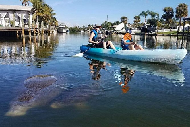Thousand Island Mangrove Tunnel, Manatee & Dolphin Kayak Tour w/Cocoa Kayaking - Guides who make the difference