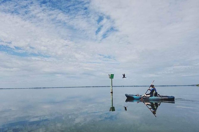 Thousand Island Mangrove Tunnel, Manatee & Dolphin Kayak Tour w/Cocoa Kayaking - Photos included after your paddle