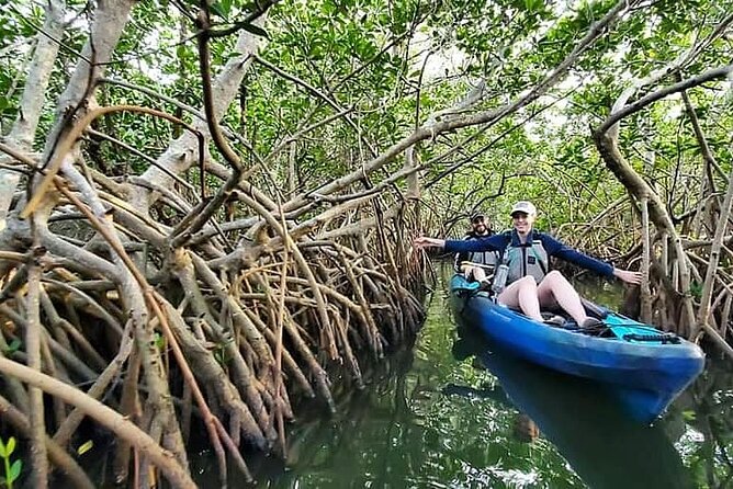 Thousand Island Mangrove Tunnel, Manatee & Dolphin Kayak Tour w/Cocoa Kayaking - Is $69.08 a fair price?