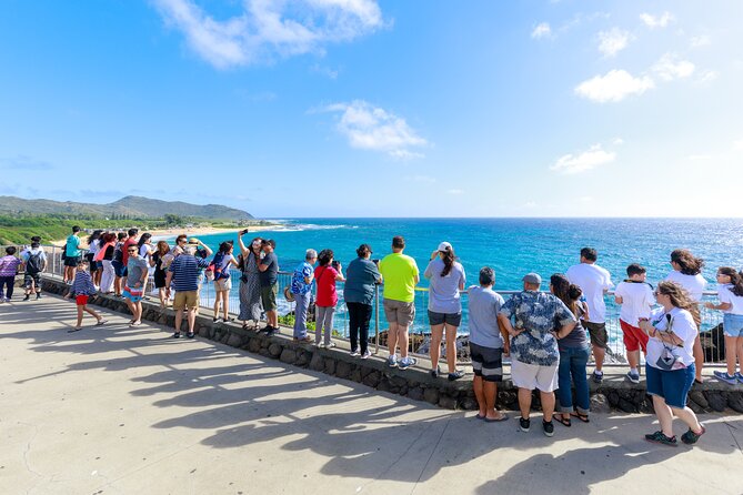 Tour of North Shore & Waimea Waterfall - Diamond Head and the southeast coast