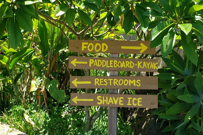 Tour of North Shore & Waimea Waterfall - Kahuku Farms and the North Shore coast